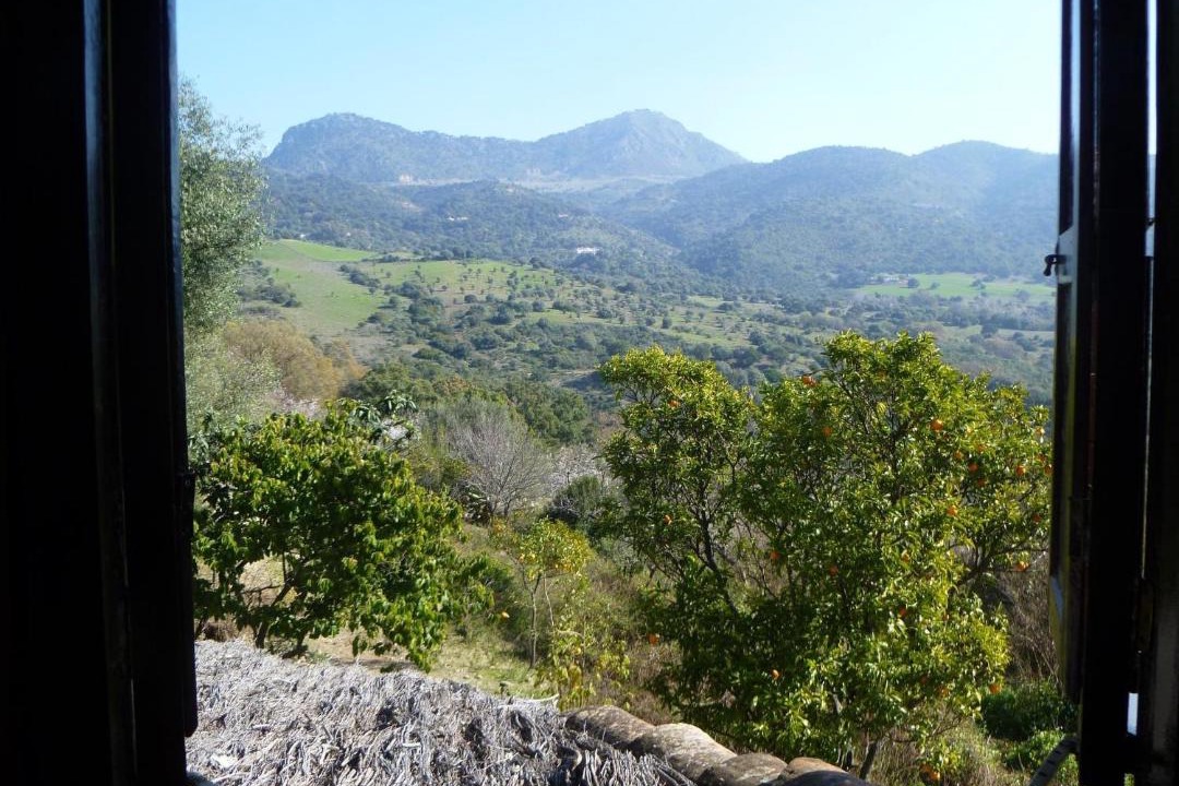 Photo of Others in Gaucin