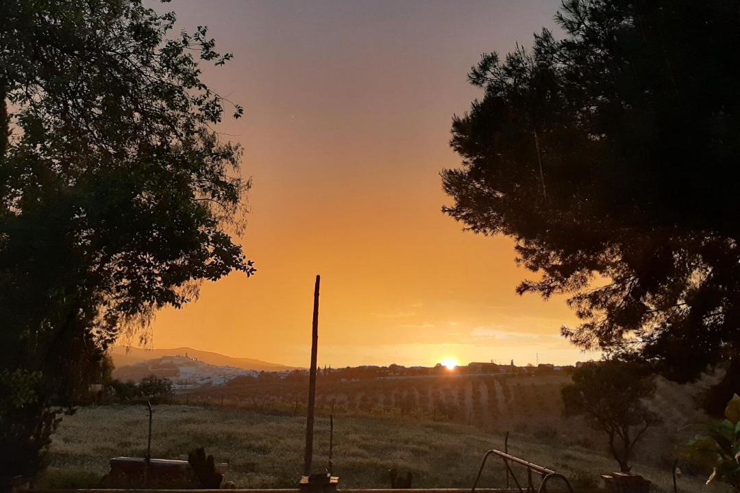 Photo of Outdoor in Baena