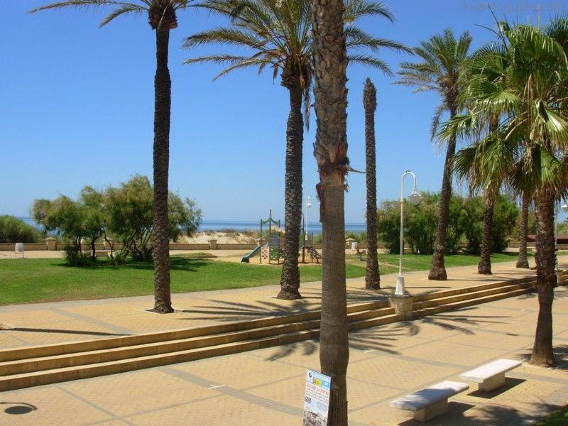 Photo of Others in Islantilla