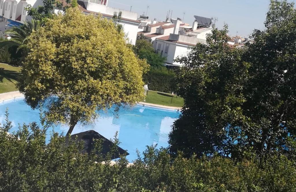 Photo of Others in Mairena del Aljarafe