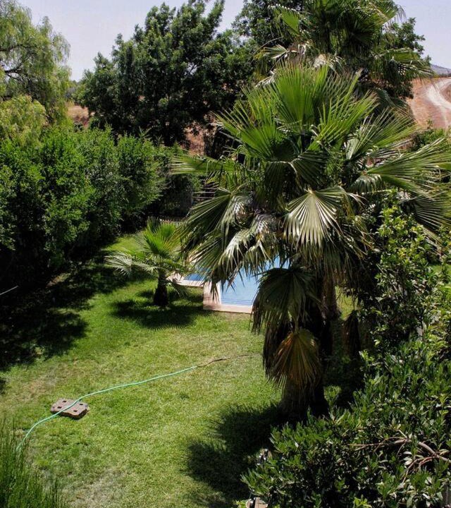 Photo of Others in Teba