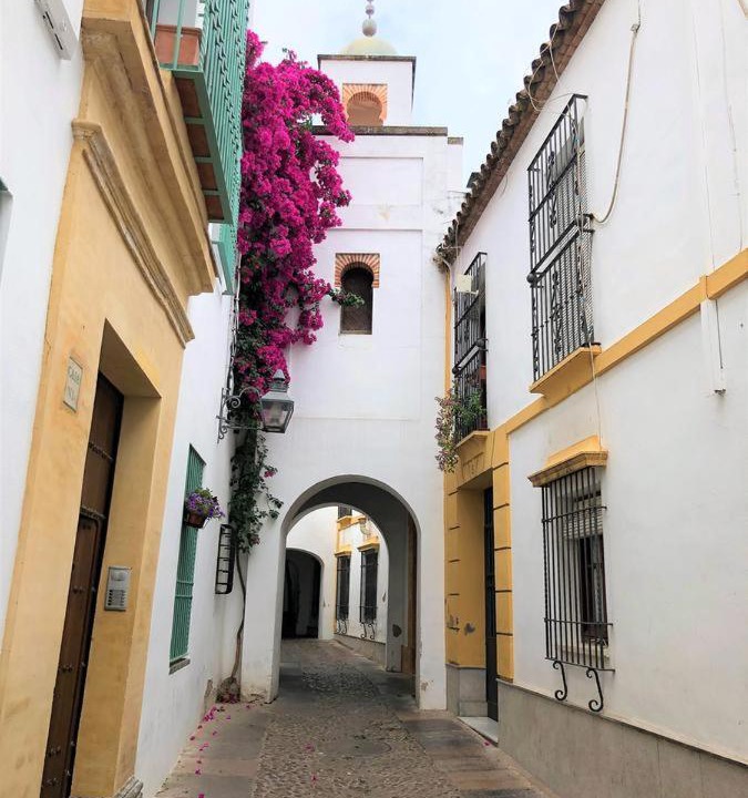 Photo of Buildings in La Catedral