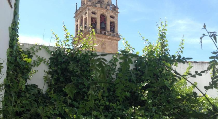 Photo of Others in La Catedral