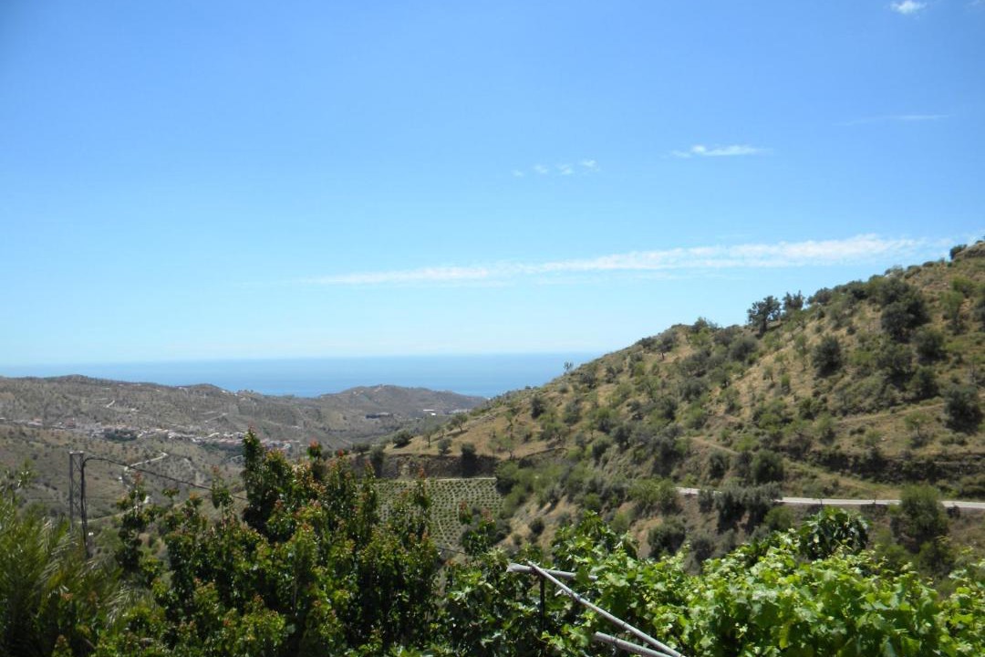 Photo of Others in Moclinejo
