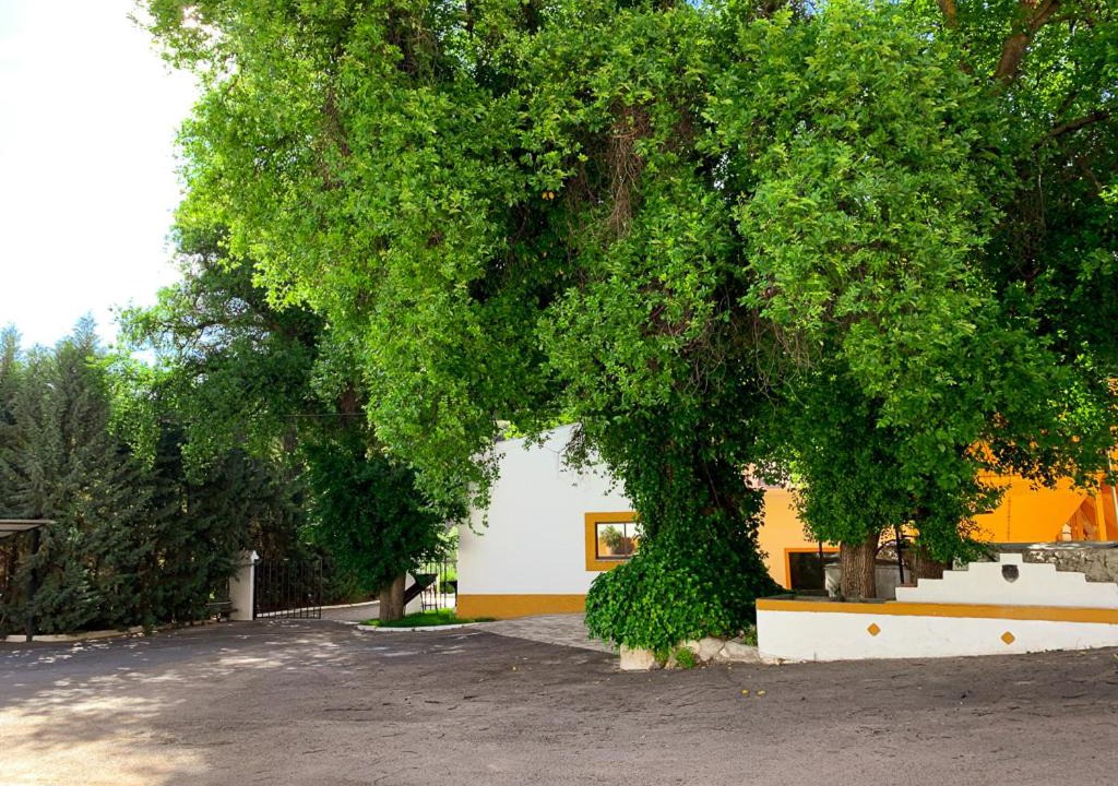 Photo of Others in Huelma