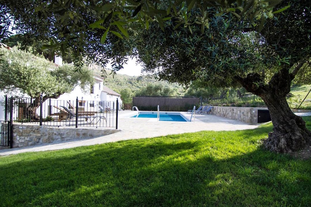 Photo of Others in Grazalema