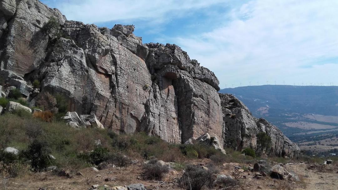 Photo of Others in El Lentiscal