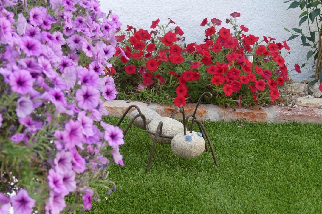 Photo of Others in Santiago del Campo