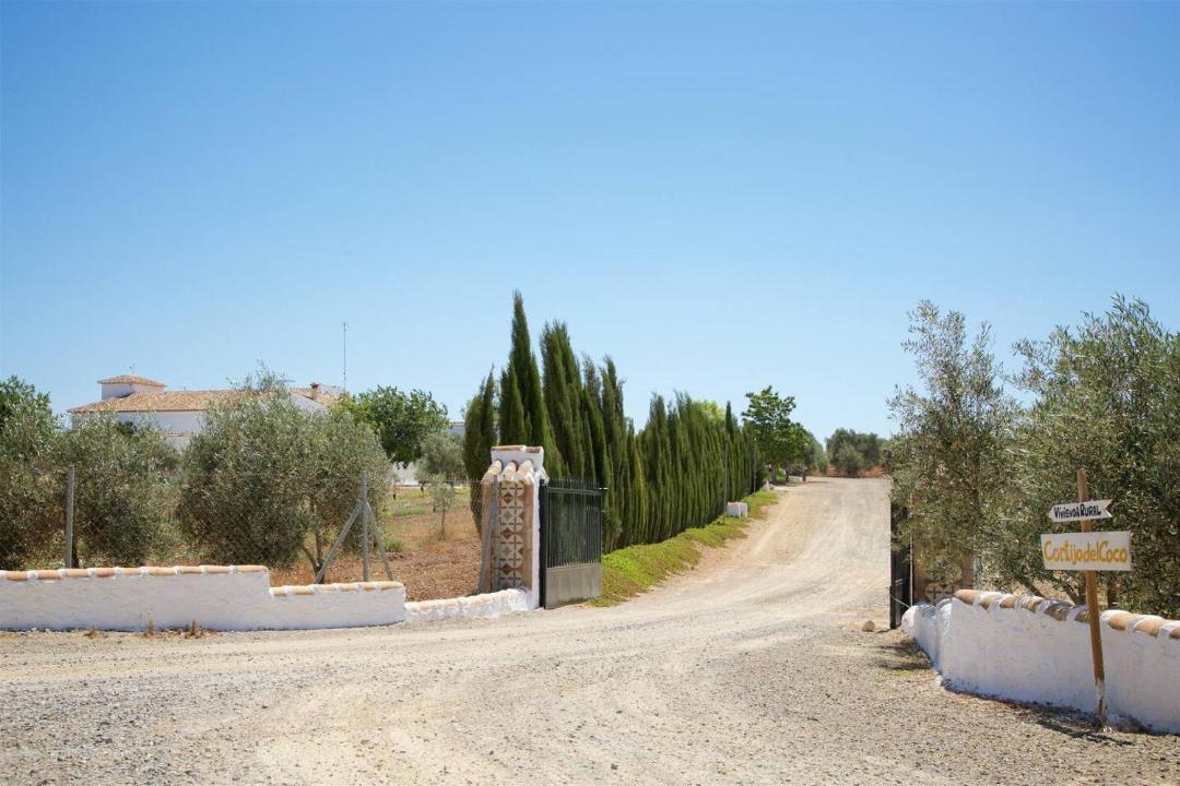 Photo of Others in Fuente de Piedra
