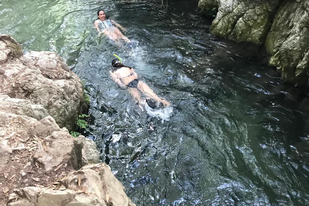 Photo of Others in El Bosque