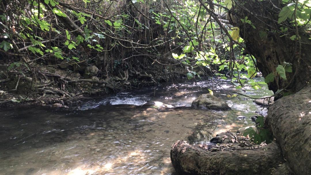 Photo of Others in El Bosque