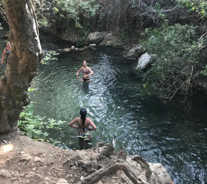 Photo of Others in El Bosque
