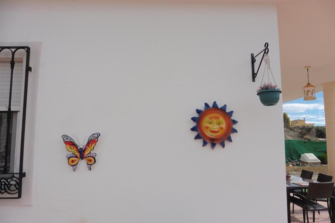 Photo of Others in Locaiba