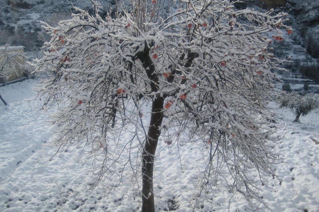 Photo of Others in Quentar