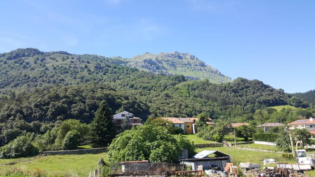 Photo of Outdoor in Arredondo