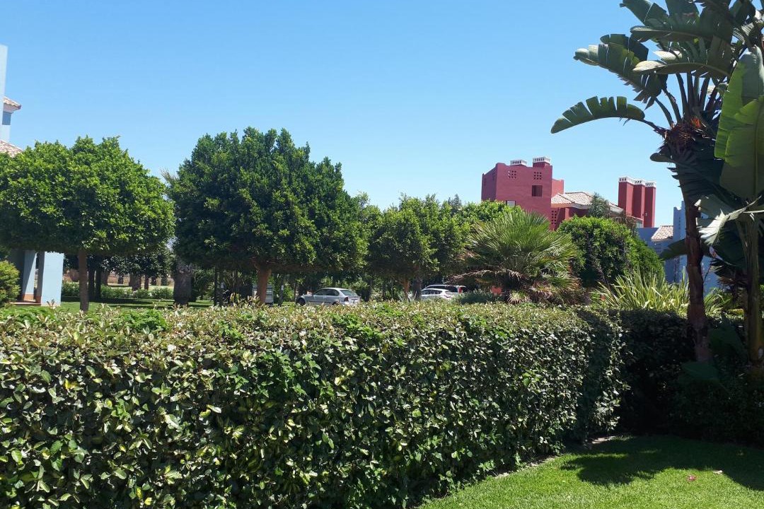 Photo of Others in Ayamonte