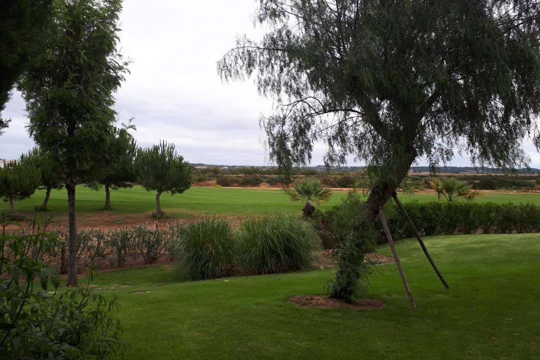Photo of Others in Ayamonte