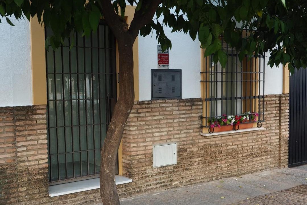 Photo of Others in Distrito Centro