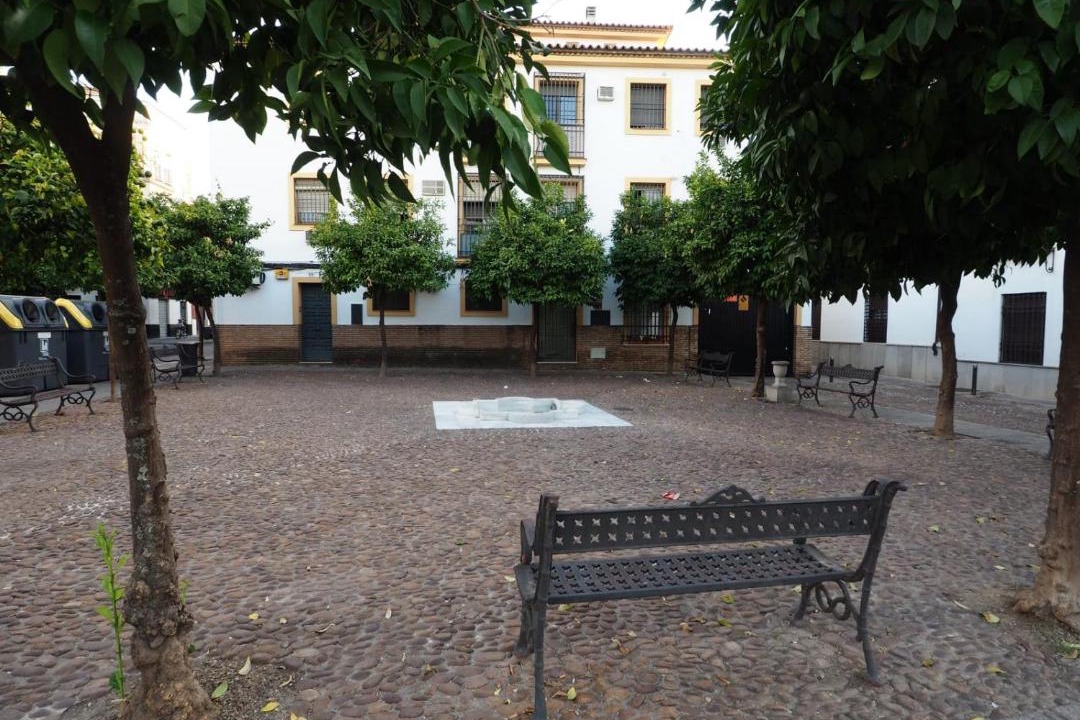 Photo of Others in Distrito Centro