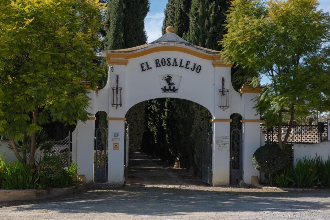 Photo of Others in Villamartin