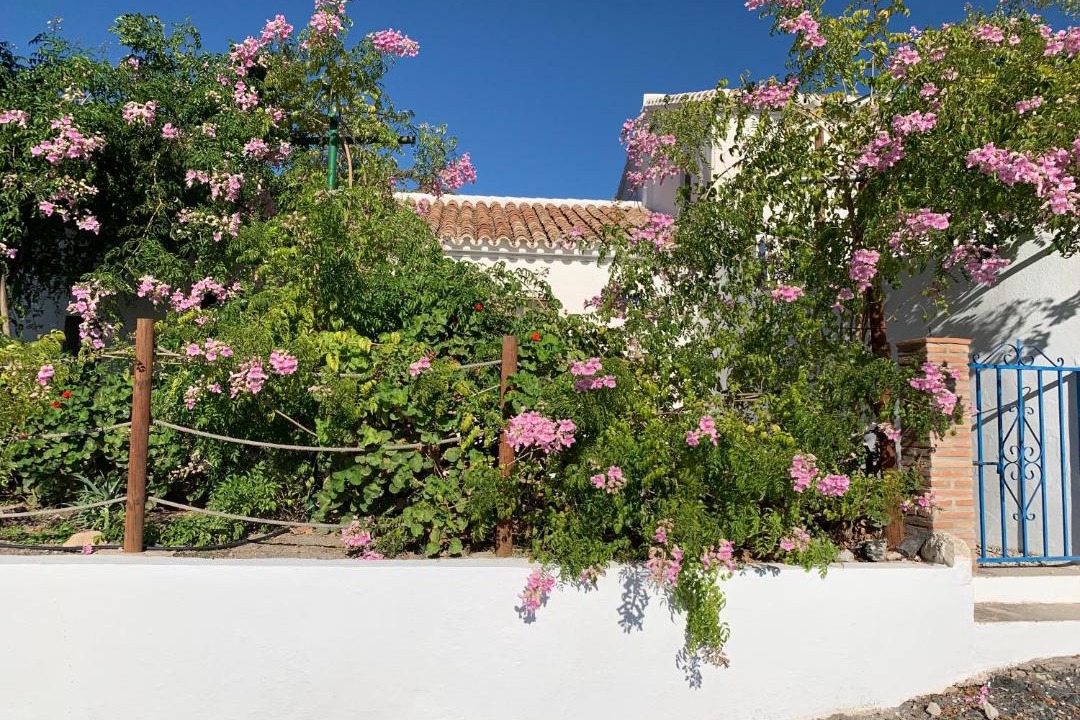 Photo of Others in El Chorro