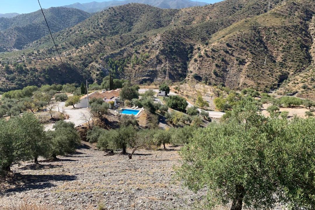 Photo of Others in El Chorro