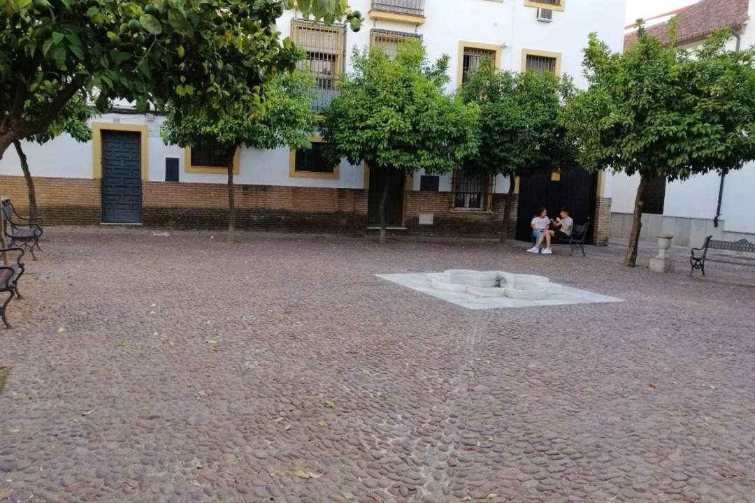 Photo of Others in Distrito Centro