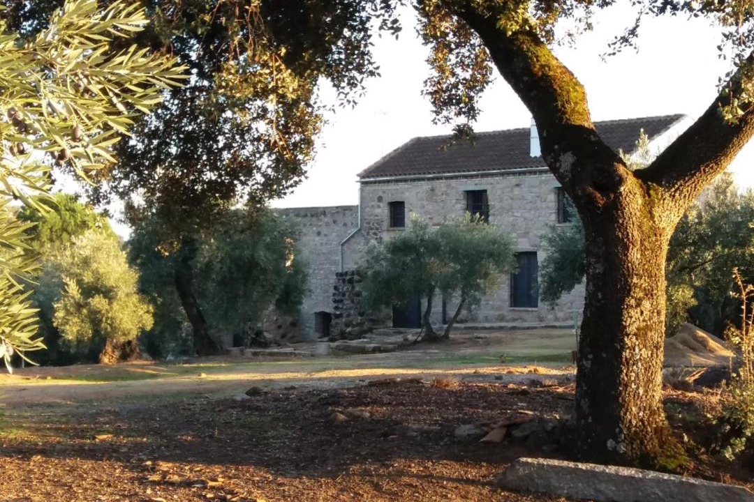 Photo of Others in Andujar