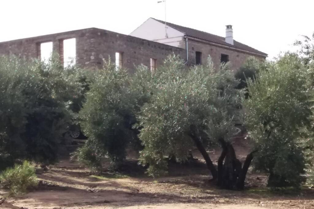 Photo of Others in Andujar