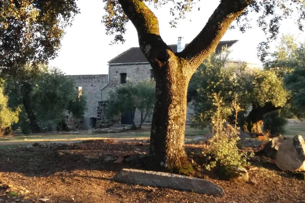 Photo of Others in Andujar