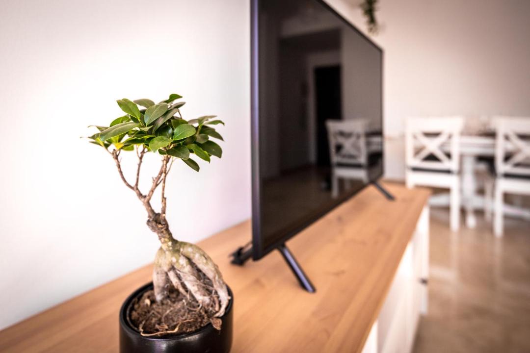 Photo of Livingroom in Bahia de Casares