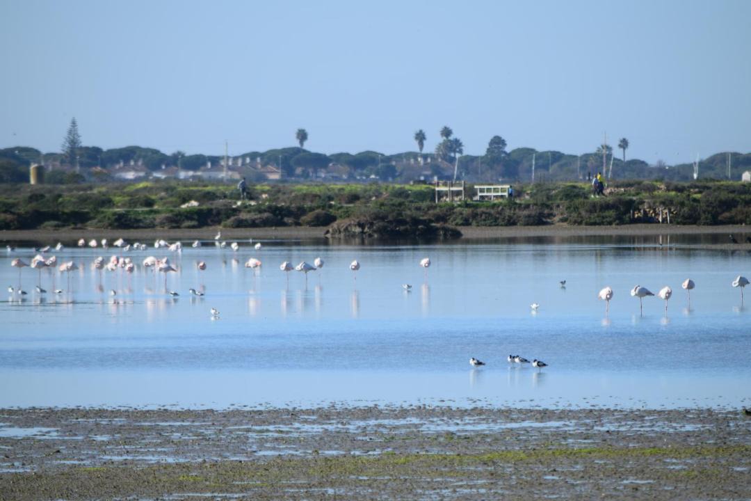 Photo of Others in Los Gallos-Cerromolino