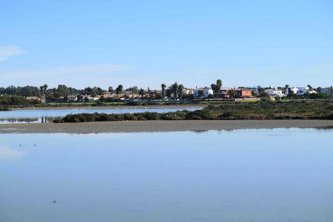 Photo of Others in Los Gallos-Cerromolino
