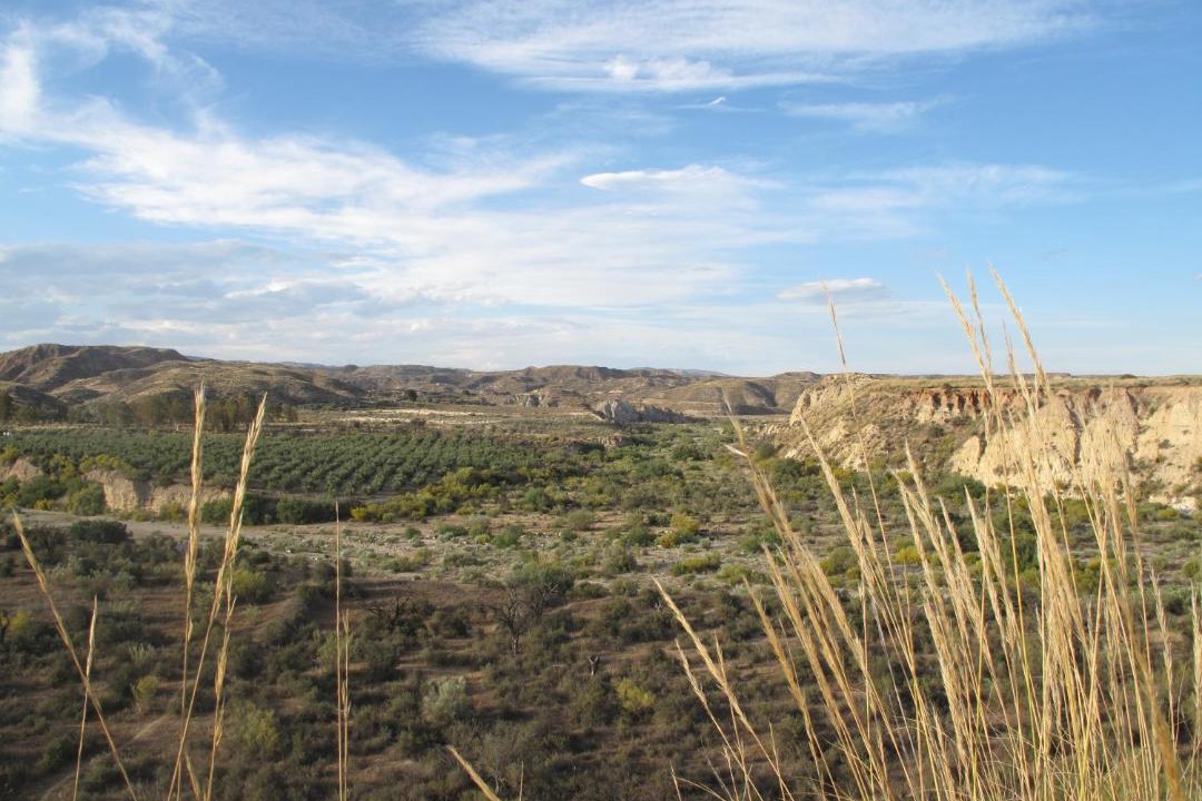 Photo of Others in Sorbas