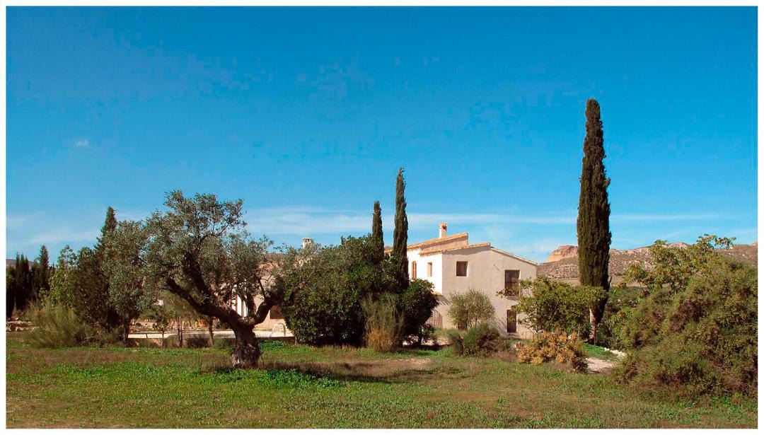 Photo of Others in Sorbas