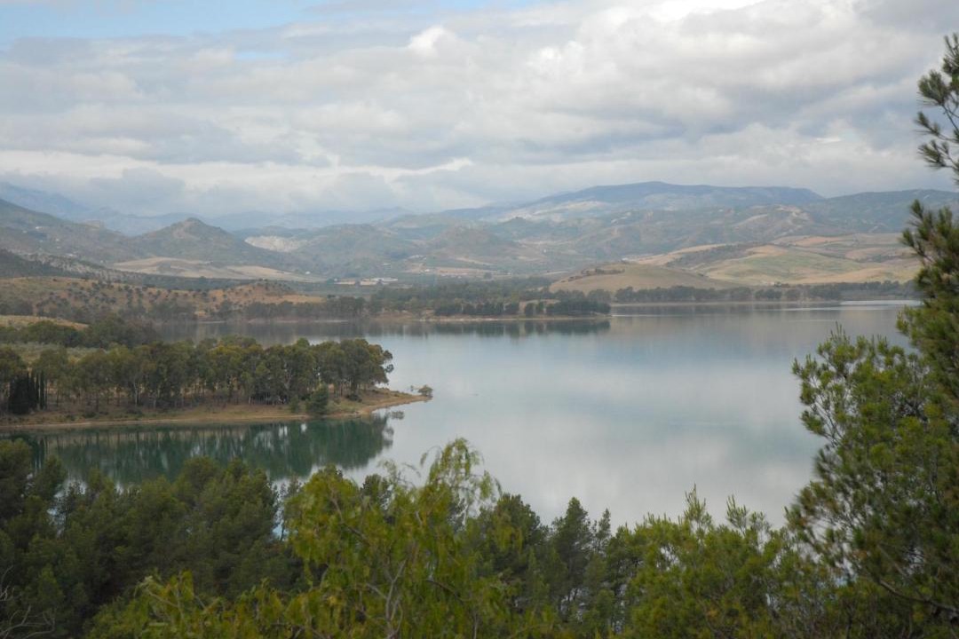 Photo of Others in Ardales