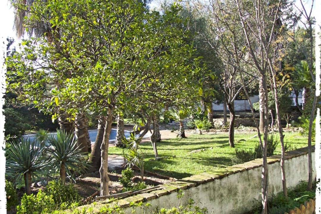 Photo of Others in Puerto de la Torre
