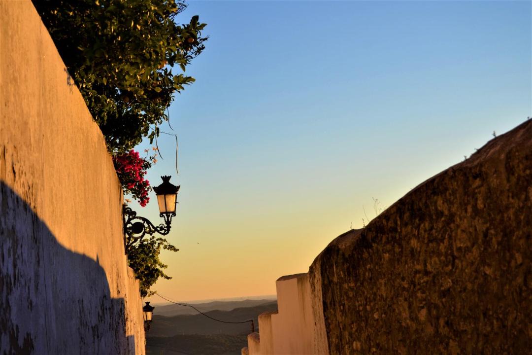 Photo of Others in Medina-Sidonia