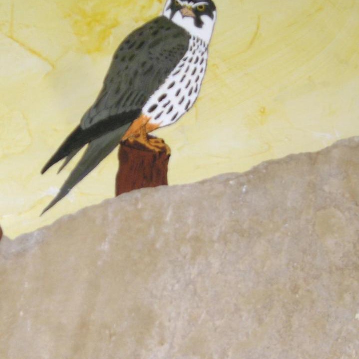 Photo of Others in Banos de Rioja