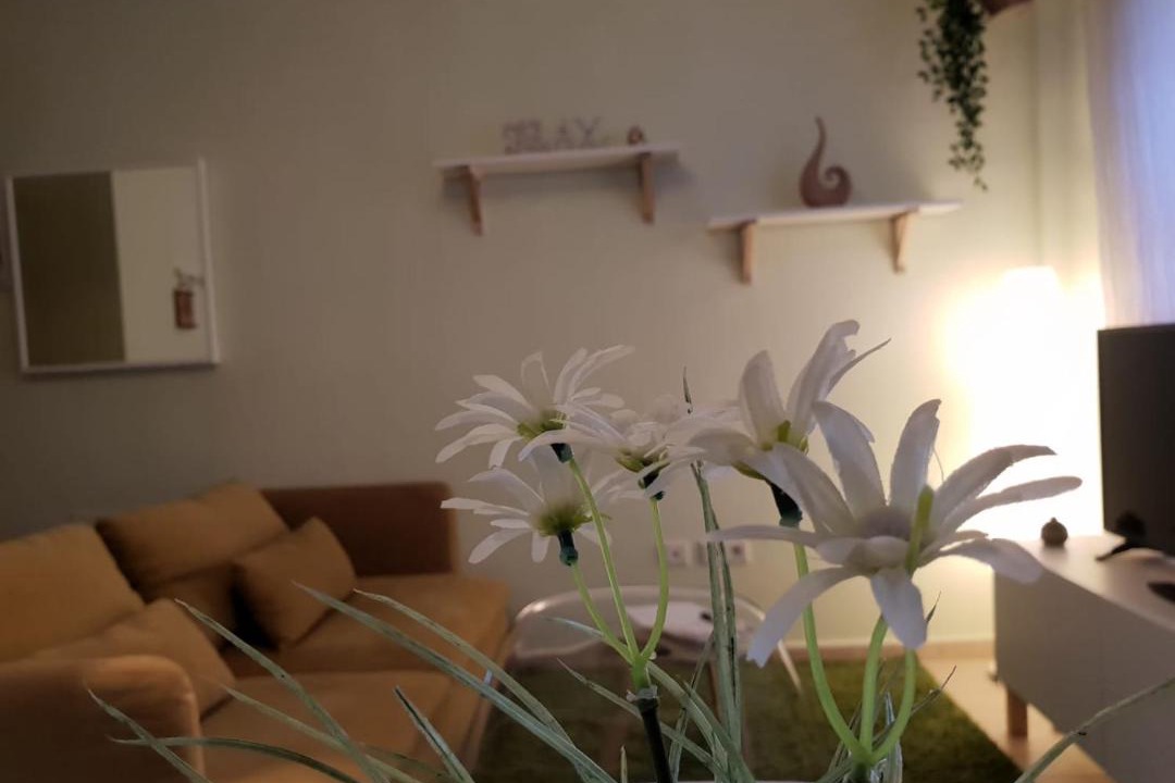 Photo of Livingroom in Las Lagunas