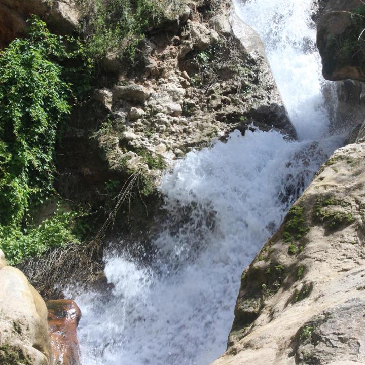Photo of Others in Almedinilla