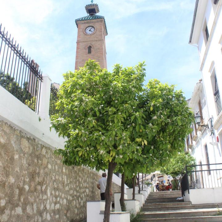 Photo of Others in Almedinilla