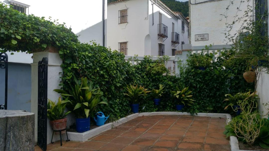 Photo of Others in Grazalema