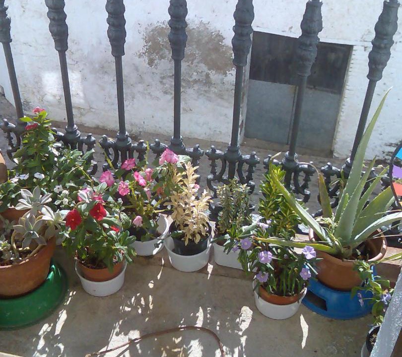 Photo of Patio Balcony in Aguafria