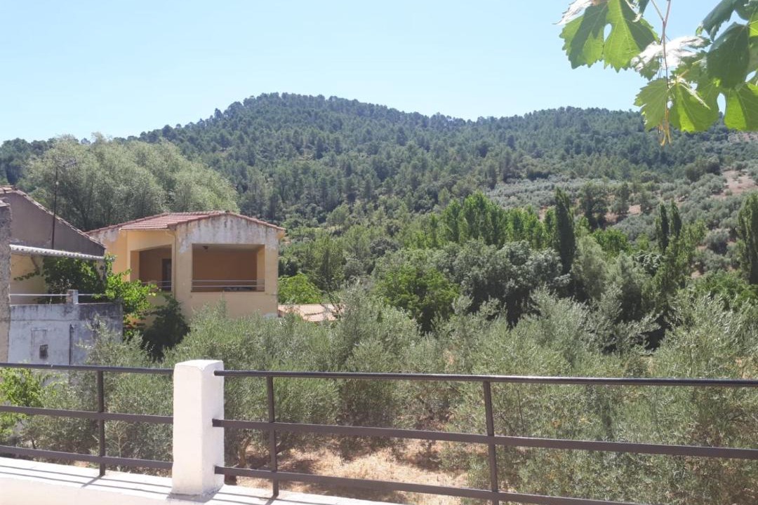 Photo of Others in Collado