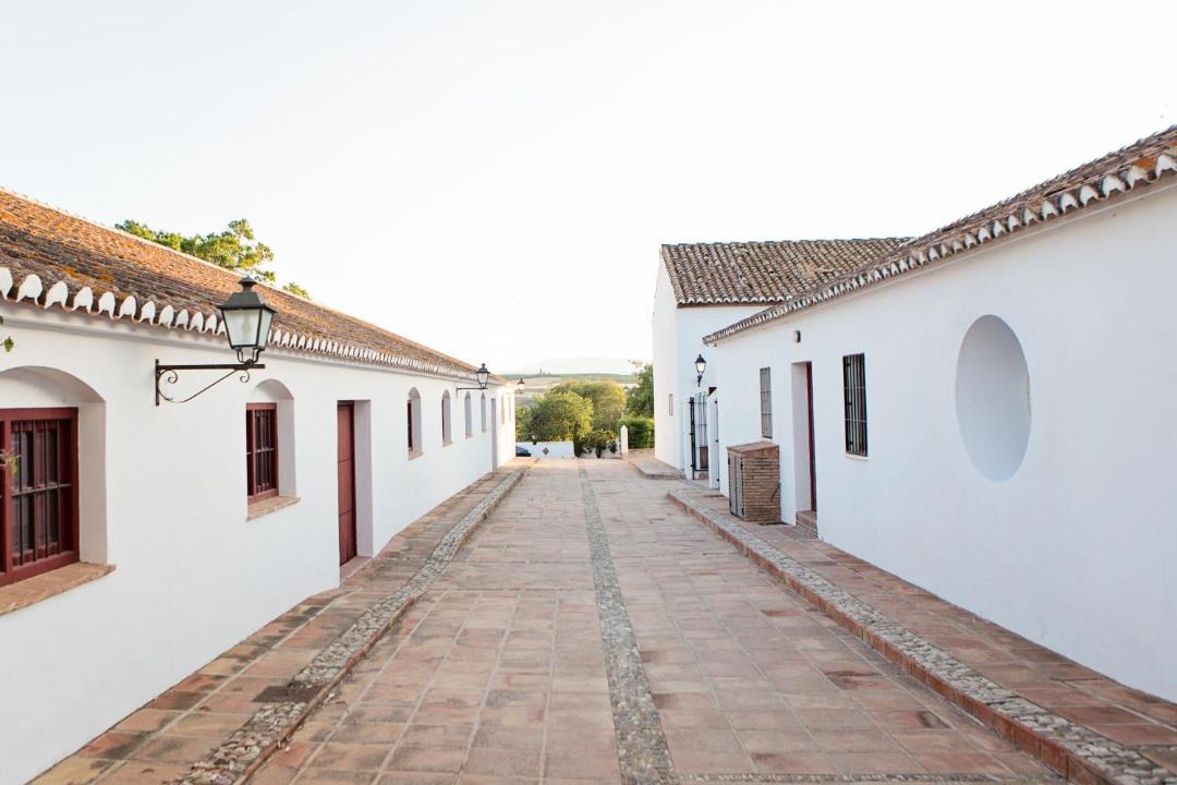 Photo of Others in Pizarra