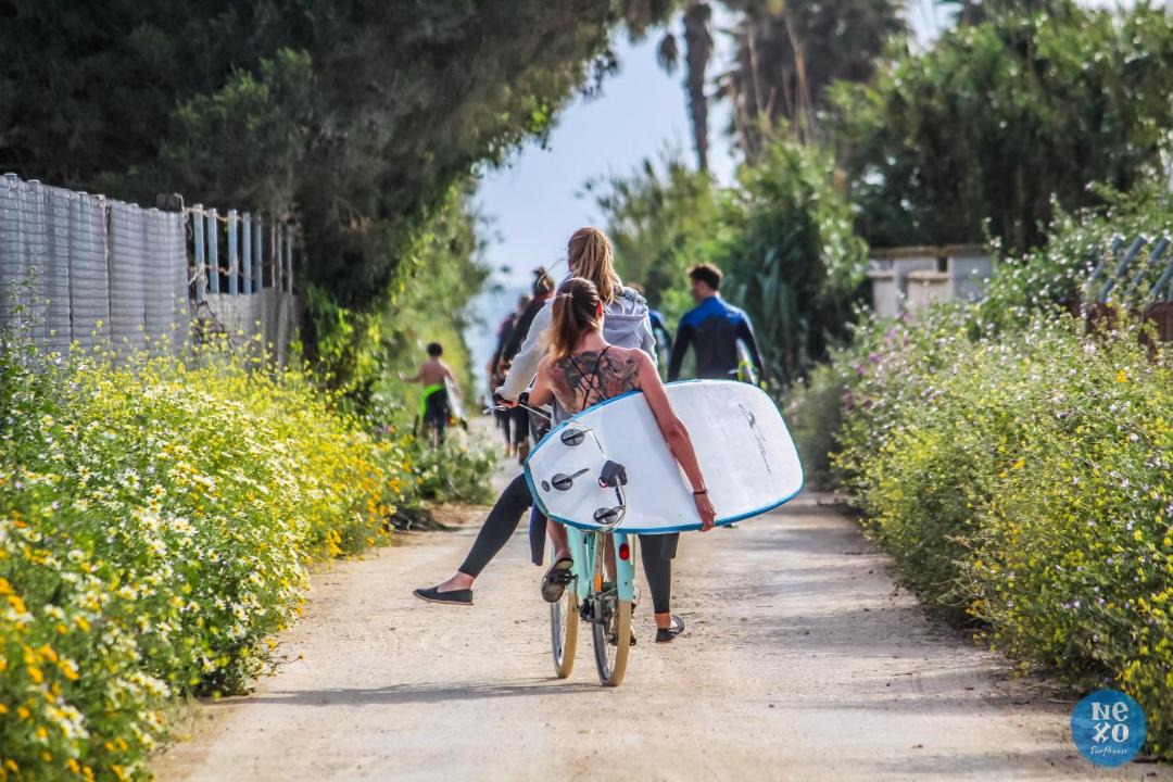 Photo of Others in El Palmar