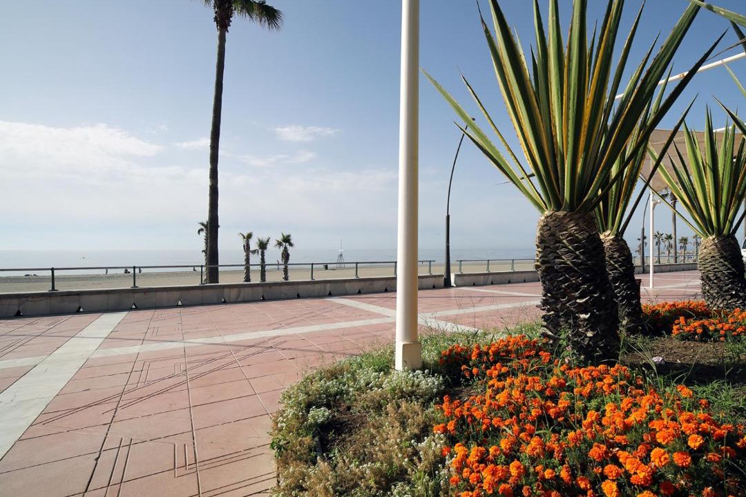 Photo of Others in Estepona