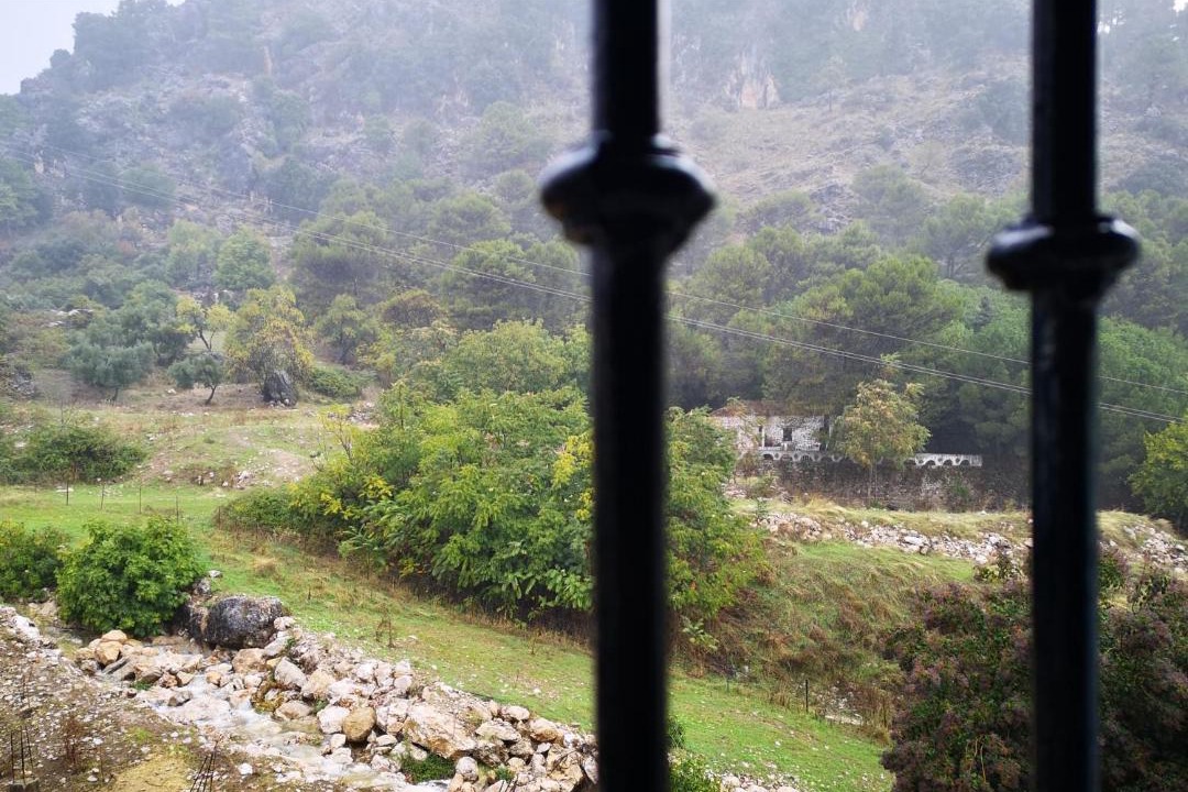 Photo of Others in Grazalema