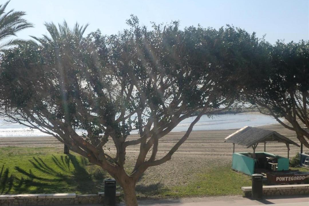 Photo of Others in Playas del Palo
